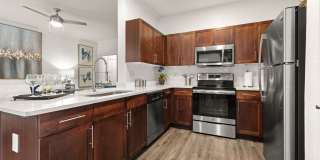 Vinoy St Johns Gallery 1