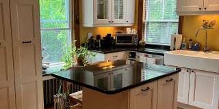 119 Antrim St Gallery 9