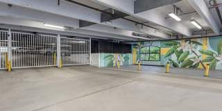 Bell Sunrise Bell Sunrise Gallery 33