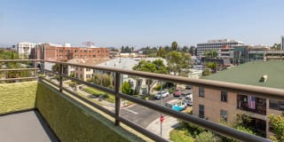 Hampshire Place Gallery 19