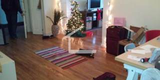 Nice 4 bed in Brookline Gallery 10