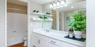 Park Sierra Gallery 40