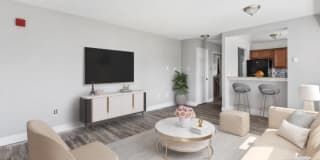 Willows Apartments Gallery 7