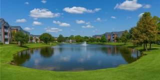 Seaside Grove Gallery 13