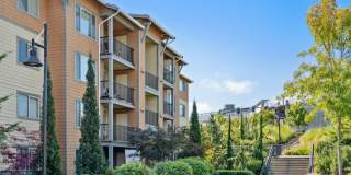 Vue Issaquah Gallery 58