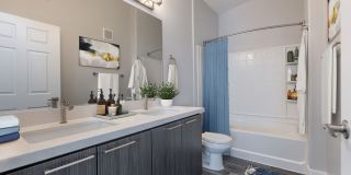 Cornerstone Park Apartments Gallery 41