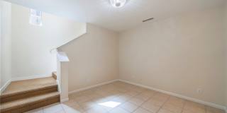 56 Scarlet Bloom Gallery 4