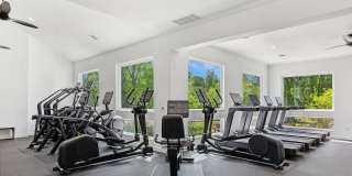 ReNew Woodland North and South Gallery 25