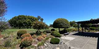 266 Valley Oaks Drive Gallery 19