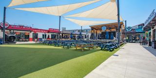 Alta at the Farm Gallery 44