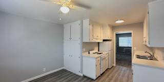 Summer Woods Gallery 9