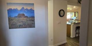 2449 Angler Dr Gallery 13
