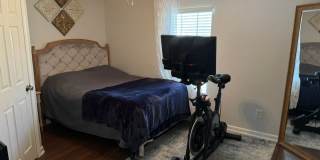 3 Bed / 2 Bath – Updated Home with Fireplace  Large Backyard Gallery 12