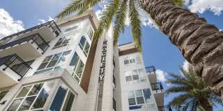 Society Westshore Apartments Gallery 30