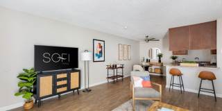 Sofi Poway Gallery 7