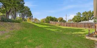 501 Bald Eagle Gallery 18