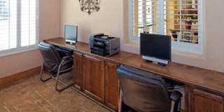 Bella Rose Gallery 33