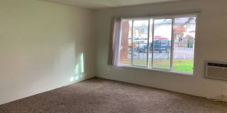 17783 SE Pine St Gallery 4
