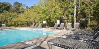 Woodland Falls Apartments Woodland Falls Apartments Gallery 12