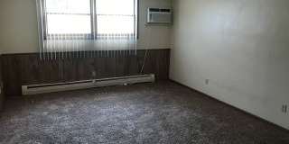Forestview 2 Bedroom Lower Unit Gallery 6