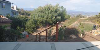 401 Washingtonia 401 Washingtonia Gallery 1