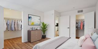 Palomar Apartment Homes Gallery 7