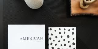 Arris Blaine Gallery 27