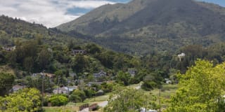 Bell Mt. Tam Gallery 22