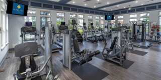 Marisol at Viera Gallery 22