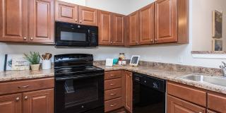 Verde at Howard Square West Gallery 1