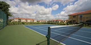 1195 VILLAGIO CIRCLE Gallery 44