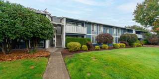 Village at Sota Gallery 22