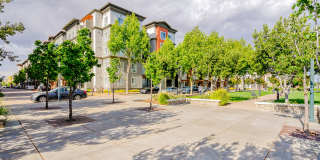 Dublin Station by Windsor Gallery 20