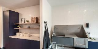 The Citizen at Waterset Gallery 32