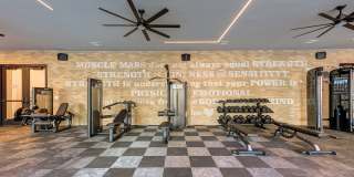 Tisdale at Lakeline Station Gallery 15