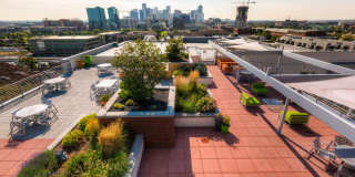 Line 28 at LoHi Apartments Gallery 1