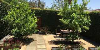 1315 N McCadden Pl Gallery 3