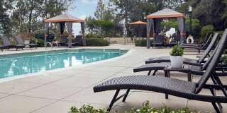 Alta Vista Gallery 10