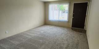 Downtown 2bd/1ba Apartment Gallery 4