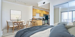 The Orsini Gallery 63