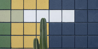 Cabana Bridges Gallery 46