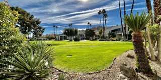 515 Desert Lakes Dr Gallery 14