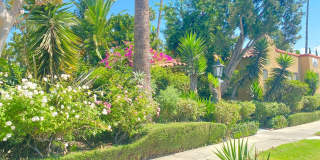 5225 De Longpre Ave. Gallery 15