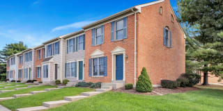 Linden At Elmtree Gallery 1