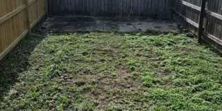 1910 Elysian Fields Ave Gallery 9