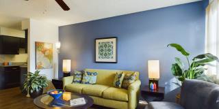 Raintree Apartments Gallery 20