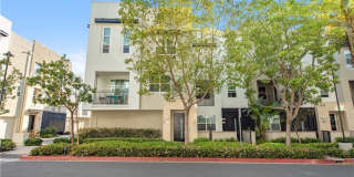 2208 Synergy Gallery 22