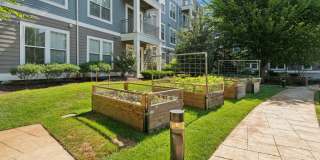 Watertown Mews Gallery 35