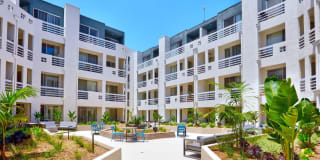 Museum Terrace Gallery 14