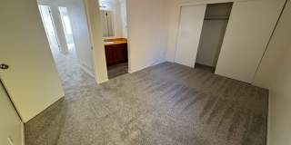 Live in the Timbers Gallery 14